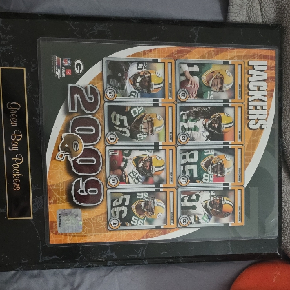 Green Bay Packers 2009 Framed Collage